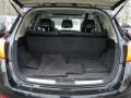 Black Trunk Photo for 2009 Nissan Murano #78214885
