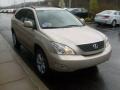 2004 Savannah Beige Metallic Lexus RX 330  photo #6