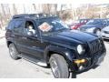 Black Clearcoat - Liberty Renegade 4x4 Photo No. 4