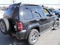 Black Clearcoat - Liberty Renegade 4x4 Photo No. 6