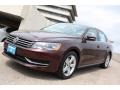 Opera Red Metallic - Passat 2.5L SE Photo No. 3