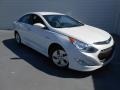 Porcelain White Pearl - Sonata Hybrid Photo No. 1