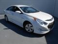 Porcelain White Pearl - Sonata Hybrid Photo No. 2