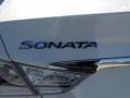 Porcelain White Pearl - Sonata Hybrid Photo No. 6