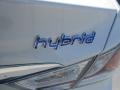 Porcelain White Pearl - Sonata Hybrid Photo No. 7