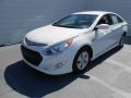 Porcelain White Pearl - Sonata Hybrid Photo No. 9