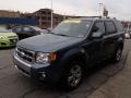 2011 Steel Blue Metallic Ford Escape Limited 4WD  photo #4