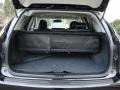 2010 Obsidian Black Lexus RX 350 AWD  photo #13