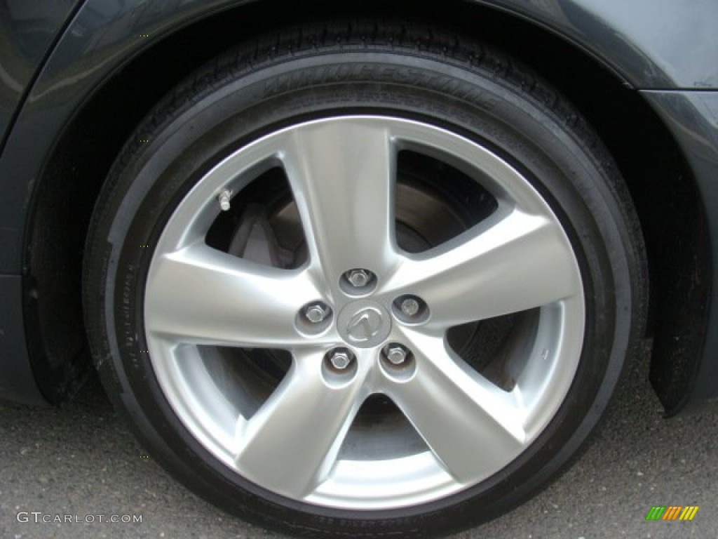 2010 Lexus LS 460 Wheel Photo #78235639