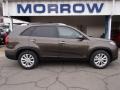 2014 Metal Bronze Kia Sorento EX V6 AWD #78213878