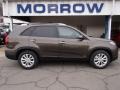 2014 Metal Bronze Kia Sorento EX V6 AWD  photo #1