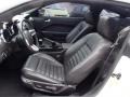 Dark Charcoal Interior Photo for 2009 Ford Mustang #78240158