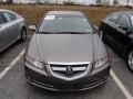 Carbon Bronze Metallic - TL 3.2 Photo No. 2