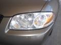 Bronze Shimmer - Sentra 1.8 S Photo No. 6