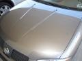 Bronze Shimmer - Sentra 1.8 S Photo No. 7