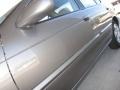 Bronze Shimmer - Sentra 1.8 S Photo No. 11