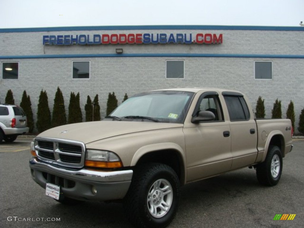 2004 Dakota SLT Quad Cab 4x4 - Light Almond Pearl Metallic / Taupe photo #1