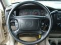 2004 Dodge Dakota Taupe Interior Steering Wheel Photo