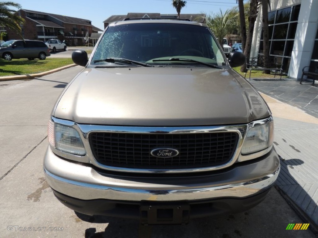 2002 Expedition XLT - Arizona Beige Metallic / Medium Parchment photo #2