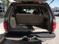 Arizona Beige Metallic - Expedition XLT Photo No. 4