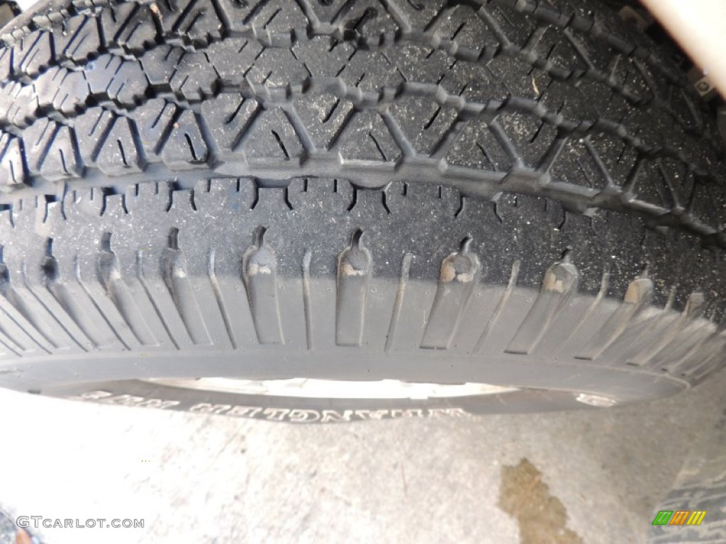 2002 Expedition XLT - Arizona Beige Metallic / Medium Parchment photo #28