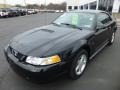 Black 2000 Ford Mustang Gallery