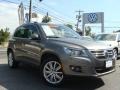 Alpine Grey Metallic 2009 Volkswagen Tiguan SEL 4Motion