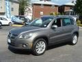 2009 Alpine Grey Metallic Volkswagen Tiguan SEL 4Motion  photo #3