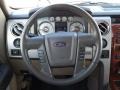 2010 Dark Blue Pearl Metallic Ford F150 Lariat SuperCrew 4x4  photo #11