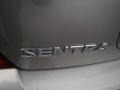 Radium Gray - Sentra 2.5 S Photo No. 27