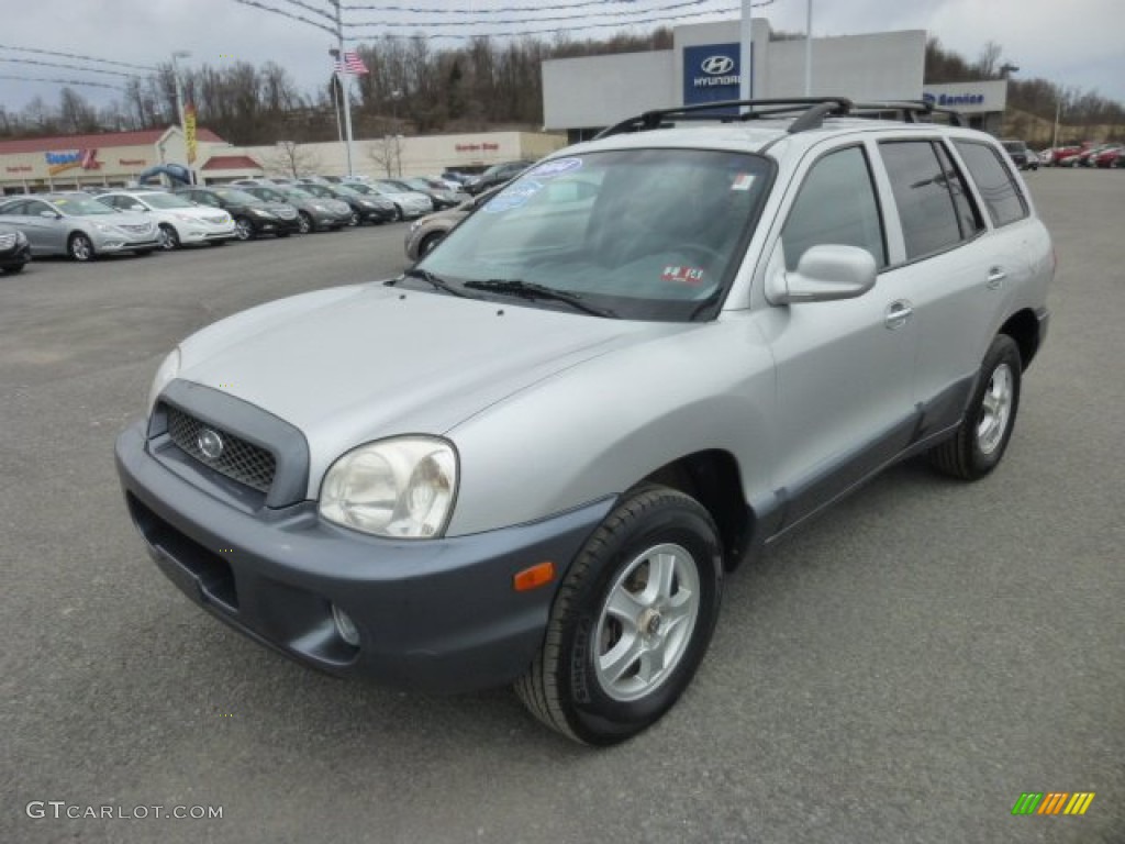 2004 Santa Fe LX 4WD - Pewter / Gray photo #3