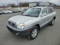 2004 Pewter Hyundai Santa Fe LX 4WD  photo #3