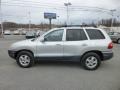 2004 Pewter Hyundai Santa Fe LX 4WD  photo #4