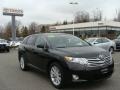 2010 Black Toyota Venza I4  photo #1