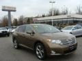 Golden Umber Mica - Venza V6 AWD Photo No. 1