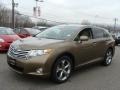 Golden Umber Mica - Venza V6 AWD Photo No. 3