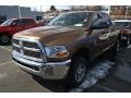 2011 Saddle Brown Pearl Dodge Ram 2500 HD Laramie Longhorn Crew Cab 4x4  photo #4