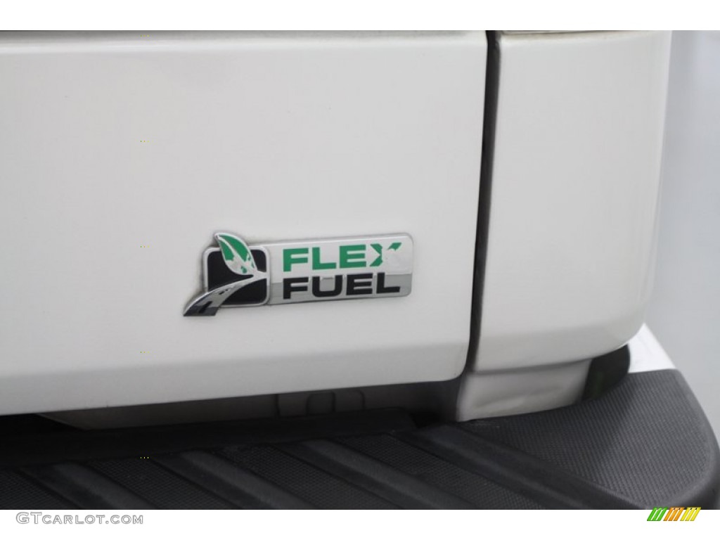 2010 Ford F150 Platinum SuperCrew Marks and Logos Photo #78271987