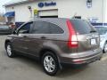 2010 Urban Titanium Metallic Honda CR-V EX AWD  photo #6