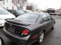 2001 Gray Lustre Metallic Nissan Maxima SE  photo #9