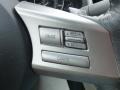 Warm Ivory Controls Photo for 2010 Subaru Legacy #78279681