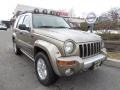 Light Khaki Metallic 2004 Jeep Liberty Renegade 4x4