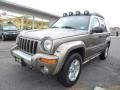 Front 3/4 View of 2004 Liberty Renegade 4x4