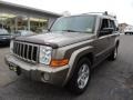 Light Khaki Metallic - Commander 4x4 Photo No. 3