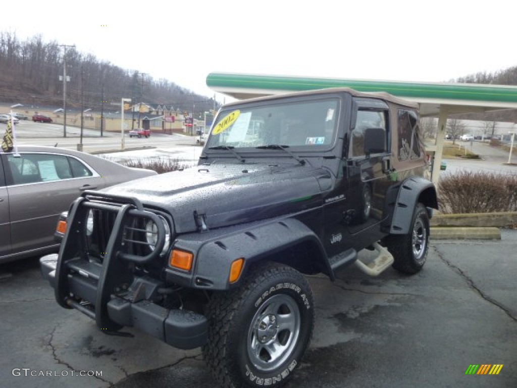 2002 Wrangler Apex Edition 4x4 - Black / Apex Cognac Ultra-Hide photo #1