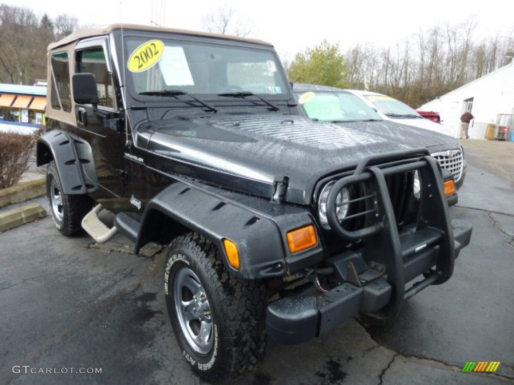 2002 Wrangler Apex Edition 4x4 - Black / Apex Cognac Ultra-Hide photo #4