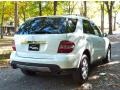 Alabaster White - ML 350 4Matic Photo No. 7
