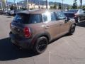 Light Coffee - Cooper S Countryman Photo No. 10