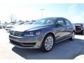 Platinum Gray Metallic - Passat 2.5L SE Photo No. 1