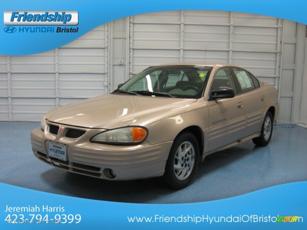 2001 Grand Am SE Sedan - Champagne Beige Metallic / Dark Taupe photo #2